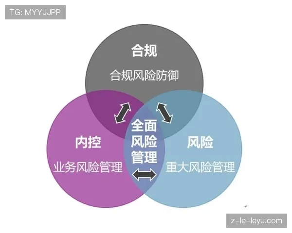 顶级内部控制廉洁风险防范:他是如何通过权限分离约束的